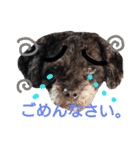 my doggy and cats（個別スタンプ：19）