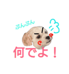 my doggy and cats（個別スタンプ：21）