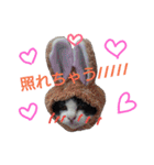 my doggy and cats（個別スタンプ：23）