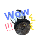 my doggy and cats（個別スタンプ：25）