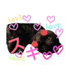 my doggy and cats（個別スタンプ：26）
