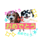 my doggy and cats（個別スタンプ：38）