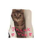 happy new neko（個別スタンプ：6）