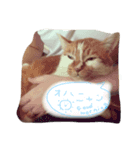 happy new neko（個別スタンプ：7）