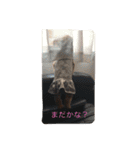 松本家のくー・ちょこ・みるく（個別スタンプ：14）