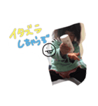 もっちゃんズ2（個別スタンプ：2）