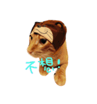 Rice＆Bear（個別スタンプ：2）