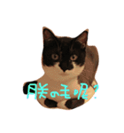 Rice＆Bear（個別スタンプ：4）