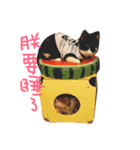 Rice＆Bear（個別スタンプ：5）