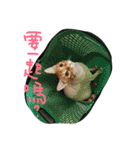 Rice＆Bear（個別スタンプ：6）