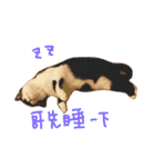 Rice＆Bear（個別スタンプ：7）