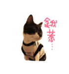 Rice＆Bear（個別スタンプ：8）