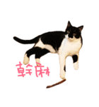 Rice＆Bear（個別スタンプ：11）