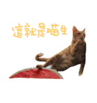Rice＆Bear（個別スタンプ：12）