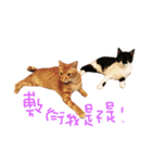 Rice＆Bear（個別スタンプ：13）