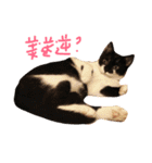 Rice＆Bear（個別スタンプ：14）
