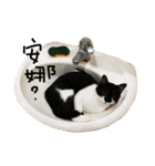 Rice＆Bear（個別スタンプ：20）