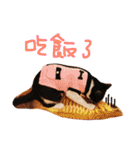 Rice＆Bear（個別スタンプ：25）