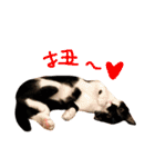 Rice＆Bear（個別スタンプ：31）