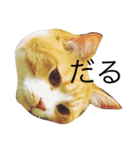 ドゥユア（個別スタンプ：6）