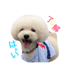 happy Smileday（個別スタンプ：1）