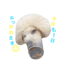 happy Smileday（個別スタンプ：3）