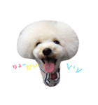 happy Smileday（個別スタンプ：6）