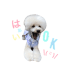 happy Smileday（個別スタンプ：7）
