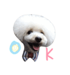 happy Smileday（個別スタンプ：8）