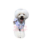 happy Smileday（個別スタンプ：9）