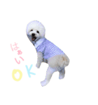 happy Smileday（個別スタンプ：10）