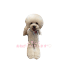 happy Smileday（個別スタンプ：11）