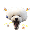 happy Smileday（個別スタンプ：13）