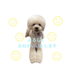 happy Smileday（個別スタンプ：15）