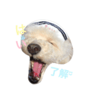 happy Smileday（個別スタンプ：17）