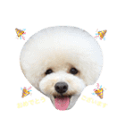happy Smileday（個別スタンプ：21）