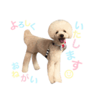 happy Smileday（個別スタンプ：23）