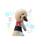 happy Smileday（個別スタンプ：24）