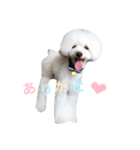 happy Smileday（個別スタンプ：25）