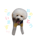 happy Smileday（個別スタンプ：27）