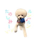 happy Smileday（個別スタンプ：29）
