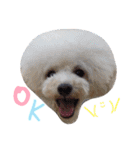 happy Smileday（個別スタンプ：30）