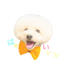 happy Smileday（個別スタンプ：31）