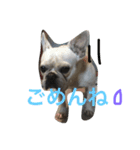 umelife（個別スタンプ：3）