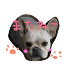 umelife（個別スタンプ：7）
