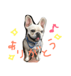 umelife（個別スタンプ：8）