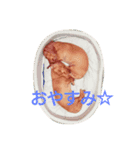 soifu1（個別スタンプ：4）