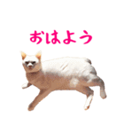 コトのおちり2（個別スタンプ：1）