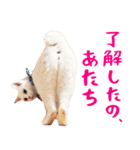 コトのおちり2（個別スタンプ：2）