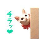 コトのおちり2（個別スタンプ：10）